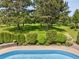 Backyard Aerial